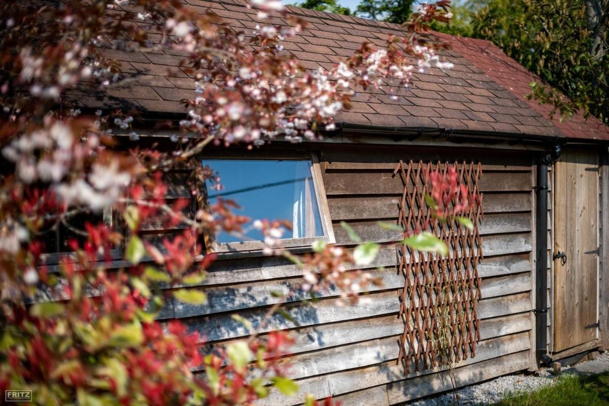 The Tool Shed Nestled In Idyllic Countryside Villa Linchmere Exterior foto