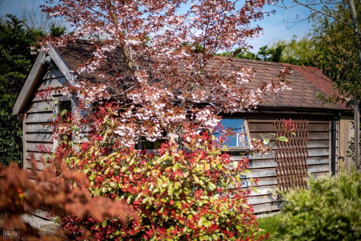The Tool Shed Nestled In Idyllic Countryside Villa Linchmere Exterior foto